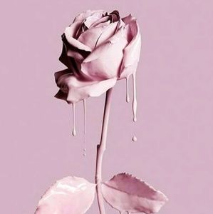 Meet your Posher, Terrell